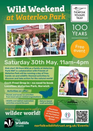 Events poster for the Norfolk Wildlife Trust's Wild Weekend Family Day